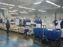 В Домодедово появятся два новых корпуса складского комплекса «Южный»