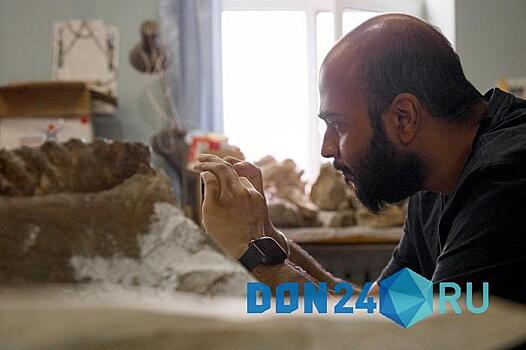 В Азове палеонтологи из Ростовской области и Индии исследуют &laquo;зубную боль&raquo; древних слонов