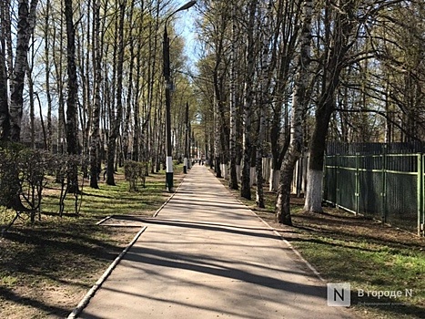 За ходом благоустройства парка «Швейцария» можно будет следить онлайн