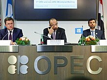 Страны ОПЕК+ определились со временем и местом заседаний комитетов в мае