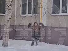 Российский подросток сделал сальто в сугроб с пятого этажа и попал на видео