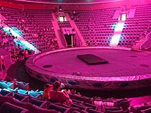 В Курском цирке из-за скандала конфликта Росгосцирка и артистов отменили представления 8 и 9 июля