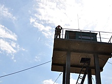 На Украине свыше 70 уклонистов погибли при попытке сбежать из страны