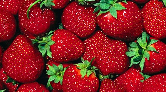 Ученые рассказали, какую ягоду нельзя употреблять в пищу
