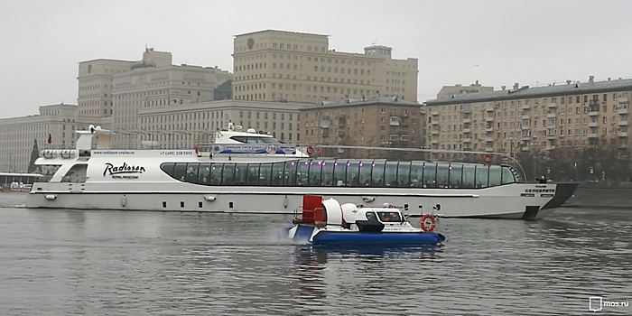 В Год собаки московские спасатели помогли животным