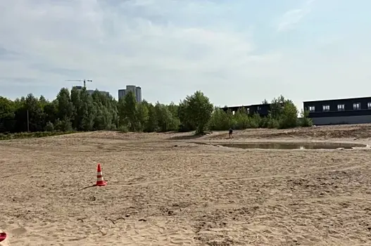 Хулиган извинился за наезд на женщину на новосибирском пляже