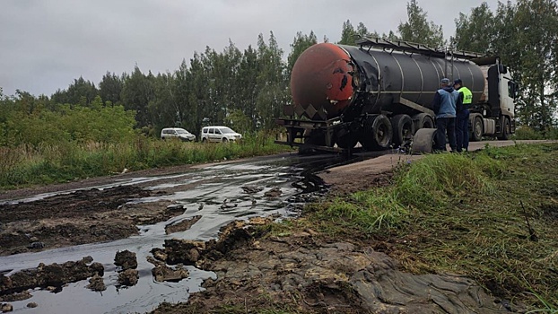Нижегородский Росприроднадзор заинтересовался разливом битума из-за ДТП