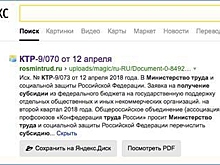 Лидеров «пенсионного протеста» подозревают в подкупе государством