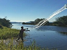 Рыбоводство в крупных прудах на водотоках предлагают упростить