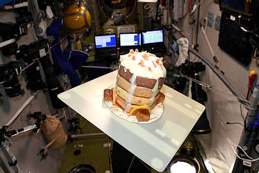 Космонавты на МКС отработали взаимодействие по манипулятору ERA