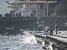 Россияне полюбили свадебный туризм