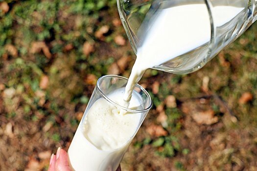 Объем молочного производства в Удмуртии с начала года увеличился на 5,8%