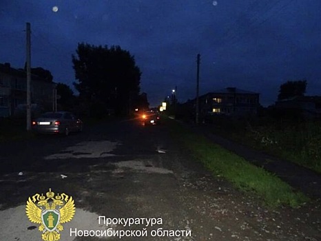 Пьяная драка братьев в Новосибирской области закончилась трагедией