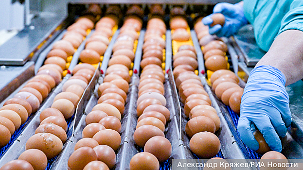 Власти предприняли меры для стабилизации цен на яйца