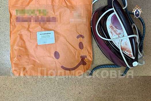 В Подольске мужчина пытал утюгом знакомую, которой обещал помочь с ремонтом