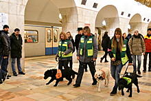 Знают все станции: собак-проводников тренируют в московском метро
