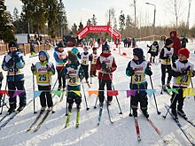 На лыжероллерной трассе прошла «Зеленоградская лыжня»