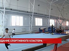 В Шахтах создают один из крупнейших донских спортивных кластеров
