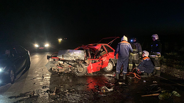 В аварии с грузовиком под Балаковом погиб водитель «девятки»