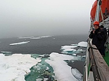В России впервые утвердили территории северного завоза