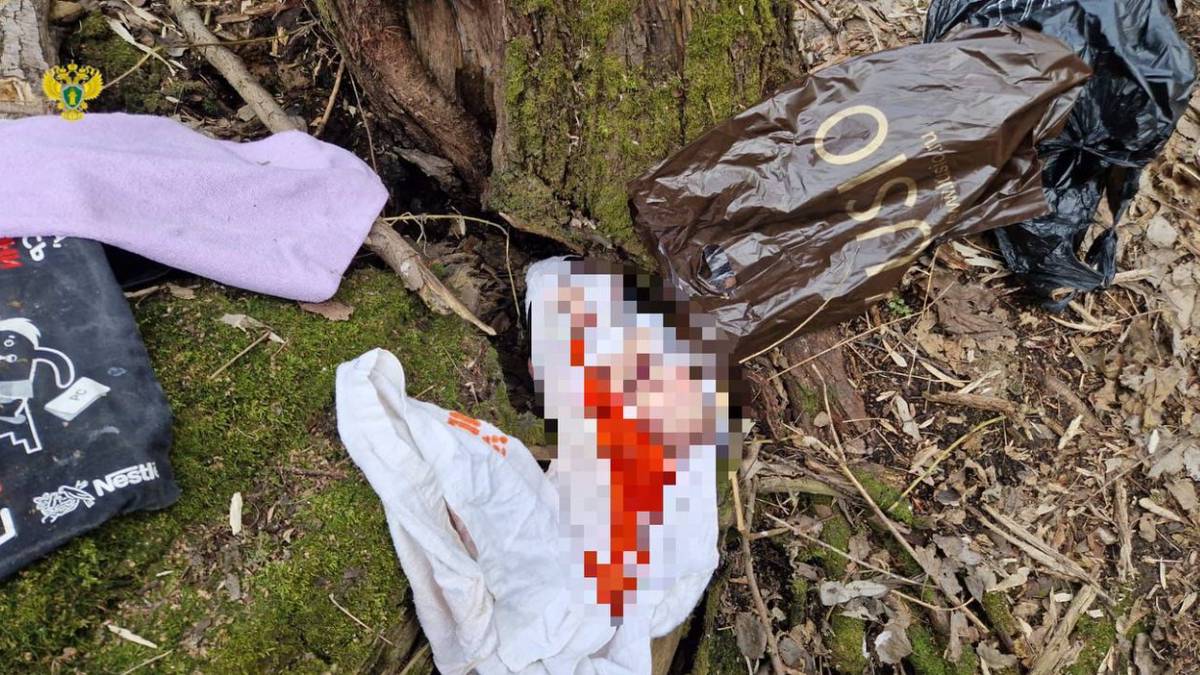 Завернутое в пакет тело младенца нашли в парке на востоке Москвы