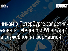 Чиновникам в Петербурге запретили использовать Telegram и WhatsApp* для обмена служебной информацией