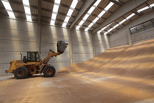 РЗС: госзакупки зерна не окажут существенного влияния на рынок