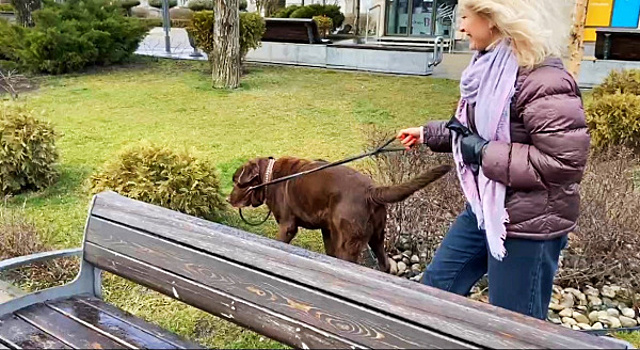 В добрых руках: собаку с трагической судьбой из Мариуполя забрала семья из Тольятти