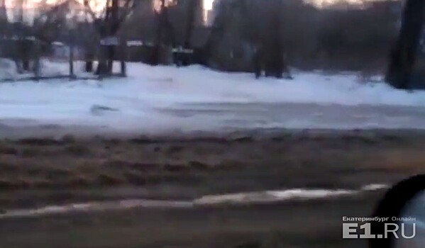 Месть "бешеного" Nissan: в Пионерском прохудилась труба, в которую до этого влетела машина