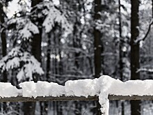 В Приморье в конце недели усилятся осадки