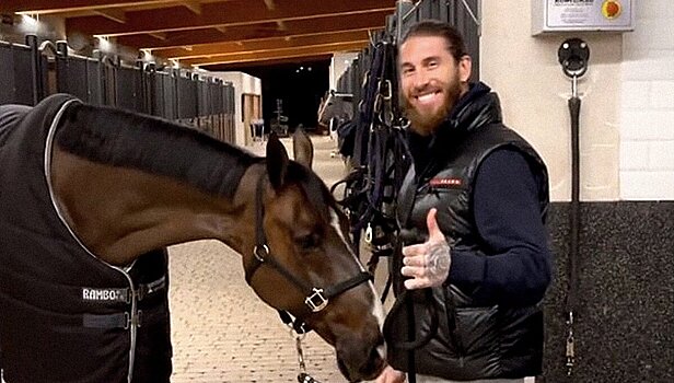 Защитник «ПСЖ» Рамос продал лучшую лошадь Испании в Саудовскую Аравию