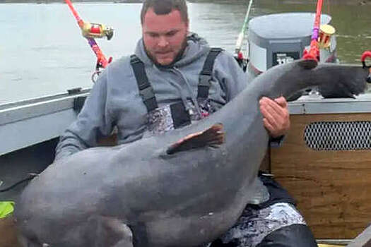 Рыбак из Миссури не смог взвесить пойманного сома и потерял шанс на рекорд