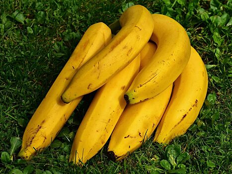 Банановая кожура оказалась отличным средством для похудения