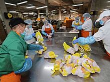 «Михайловский бройлер» вышел на тропу войны против «Дальневосточной птицы»