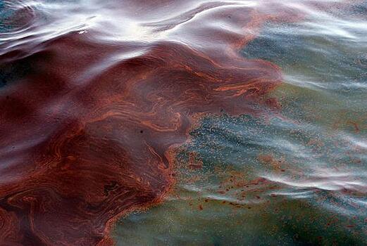 В реке Чесноковке плавают мазутные пятна, ее берега покрыты пленкой от нефтепродуктов