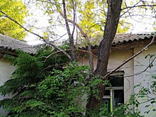 В Омске продают бывшие склады Минобороны за 55 млн рублей