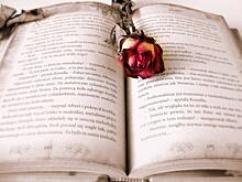 В Культурном центре «Феникс» на Живописной проведут поэтическую встречу «БиблиоRevolt»