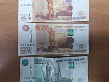 Хотел помочь знакомым: в Пензенском районе осудили иностранца