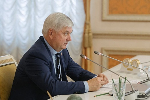 В Воронежской области будут развивать голосовые сервисы для госуслуг