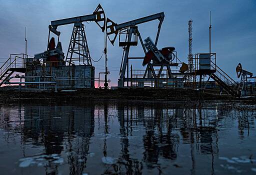 Экономист раскрыл причину неэффективности потолка цен на российскую нефть
