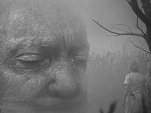 "Болезнь Паркинсона и алкоголизм": попытка Трампа купить Гренландию вызвала интерес к датским сериалам