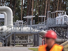 Стало известно, откуда российский газ поступает в Германию