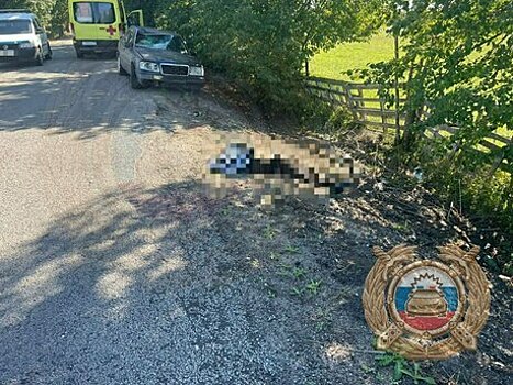 В полиции рассказали подробности ДТП в Гурьевском районе, где насмерть сбили велосипедиста