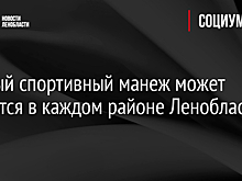 Крытый спортивный манеж может появится в каждом районе Ленобласти