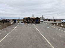 МВД РФ: в попавшем в ДТП под Волгоградом автобусе находились около 20 детей