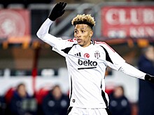 Стала известна зарплата Фернандеша в случае перехода в «Спартак»