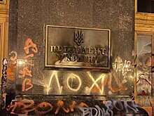 Погромы государственных учреждений Украины. Справка