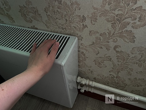 ГЖИ прокомментировала скандал с живущей в плесени нижегородкой