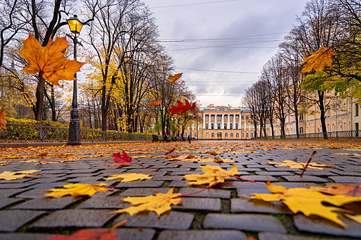Осень в Петербурге: музеи, концерты и парковые прогулки