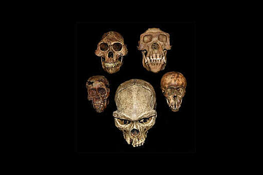 LiveScience: в Испании обнаружили 7 тыс. древних костей в подземной гробнице